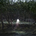 Beacon - IM U