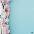 The Paradise、TMU - Yeah Right