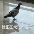 林一、v青盏 - 藏