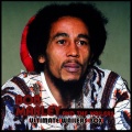 Bob Marley、The Wailers - How Many Times