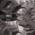 Tenzig - Frozen Speech