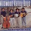 Wildwood Valley Boys - The Long Valley