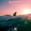 DayFox - Summercade