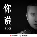 王小海 - 你说