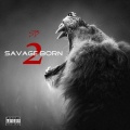 SB、Bdon、B Don、SB DeVinchi - Crazy Brazy