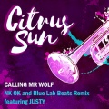 Citrus Sun、Justy - Calling Mr Wolf (NK-OK Blue Lab Beats )(Remix)