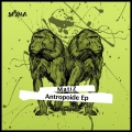 Matiz - Anis del Chimpance