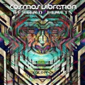 Cosmos Vibration - Perception