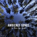 Best Relaxing Spa Music、Relaxing Zen Spa、Shakuhachi Sakano - Seeing Light Through the Haze