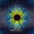Braincell - Universal Mind