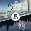 水云汐Camus - 月与鸽