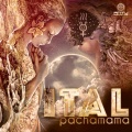 Ital、The Commercial Hippies - The Race