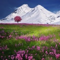 Sounds of Nature Relaxation、Meditation Rain Sounds、SPA - Soothe My Soul