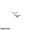 Bipolar Sunshine、Rabbithole - Spaced Out