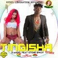 d. angel、Stonebwoy - Tingisha (Remix)