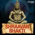 Anuradha Paudwal - Shiv Panchakshar Stotra