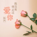 陈丙 - 舒服一秒是一秒 (DJ版)