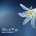 White Noise Meditation - Binaural Stress Relief