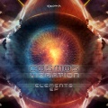 Cosmos Vibration - Organic revolution