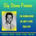sly stone - I Will Go