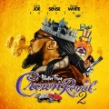 Pastor Troy - Space Age Pimpin 2011