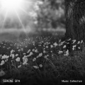 Serenity Spa Music Relaxation、Spa Music Collective、Spa Zen - Binaural Beats Sleep Serenity