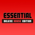 VIANI DJ、Veersus、Janice Robison - Dreamer (Main Vocal Mix)