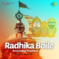 Anuradha Paudwal - Nila Chakre He
