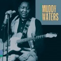 Muddy Waters - Mannish Boy