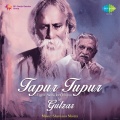 gulzar - Tum Meethe Lagte Ho