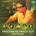 R. D. Burman - Commentary(Rdburman)Cd-4