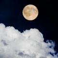 Massage Music、Sounds of Nature Relaxation、Nature Sounds Nature Music - Ocean Waves