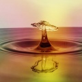 Sounds of Nature Relaxation、Sleepy Times、Calming Music Academy - Serene Precipitation
