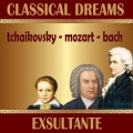 Philharmonica Slavonica - I. Allegro Moderato