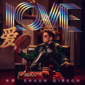肖恩Shaun Gibson - 爱 (Love)
