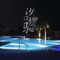 枫叶 - 沙漠骆驼 (DJ版)