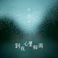 林冠权 - 到我心里躲雨