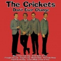The Crickets - I Fought the Law