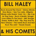 Bill Haley、bill haley & his comets - Love Letters In The Sand