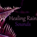 Healing Rain Sounds Academy - Sound of a Rain on a Window