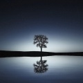 Relaxing Spa Music、Calming Music Academy、Musica Para Estudiar Academy - Oblivious