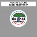 Richard Gatling - Too Much Choices