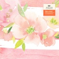 Various Artists - Boccherini: Minuet