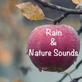 Trouble Sleeping Music Universe、Music to Relax in Free Time、Rebirth Yoga Music Academy - Dreamy Rain