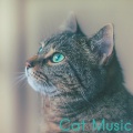 Cat Music - Inner Space