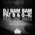 DJ Bam Bam、Q-ic、Pat B - Feel the Bass (feat. Alex Peace)(Radio Mix)