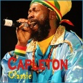 capleton - Inna the Fire