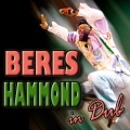 Beres Hammond、Stephan Warren、Rogier Sjardijn、kemar mcgregor - I Surrender (In Dub)