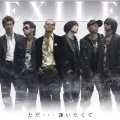 EXILE - ただ…逢いたくて (只是…好想见你)
