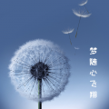 洪凯 - 梦随心飞翔